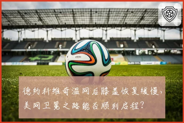 德约科维奇温网后膝盖恢复缓慢，美网卫冕之路能否顺利启程？