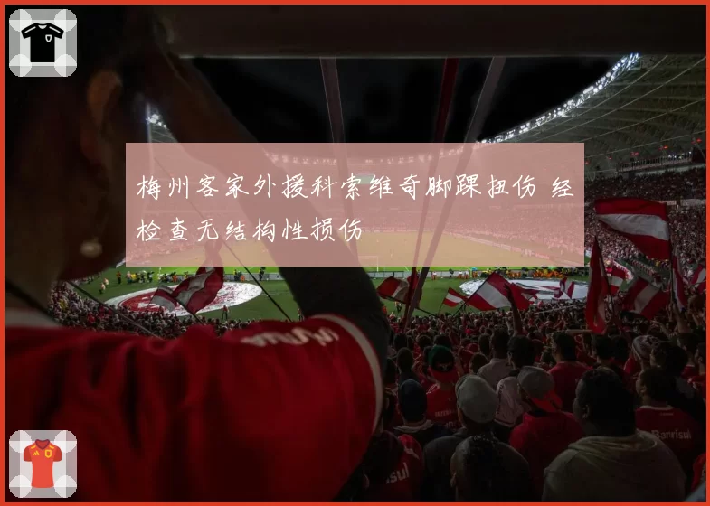 梅州客家外援科索维奇脚踝扭伤 经检查无结构性损伤