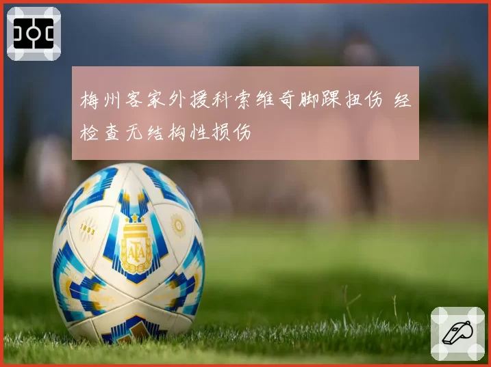 梅州客家外援科索维奇脚踝扭伤 经检查无结构性损伤